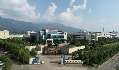 我司承建的巨石九江公司MES项目迎来国家领导人视察
