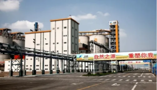 中粮包装
