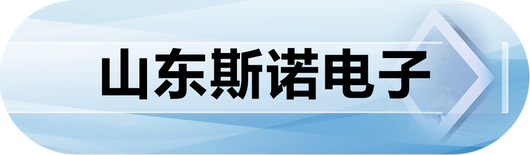 山东斯诺电子