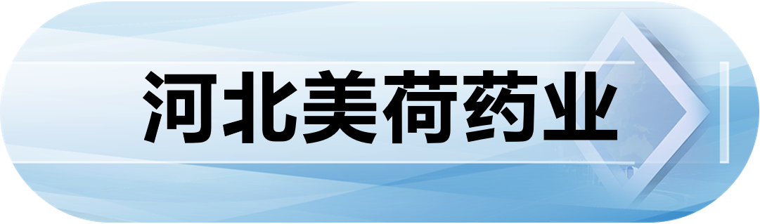 河北美荷药业