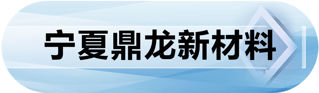 宁夏鼎龙新材料