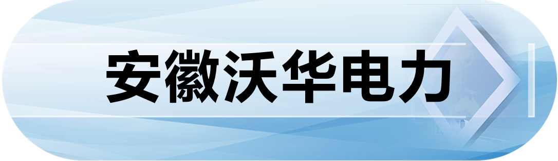 安徽沃华电力