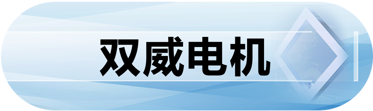 双威电机