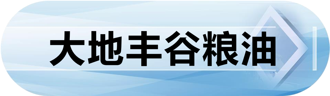 大地丰谷粮油