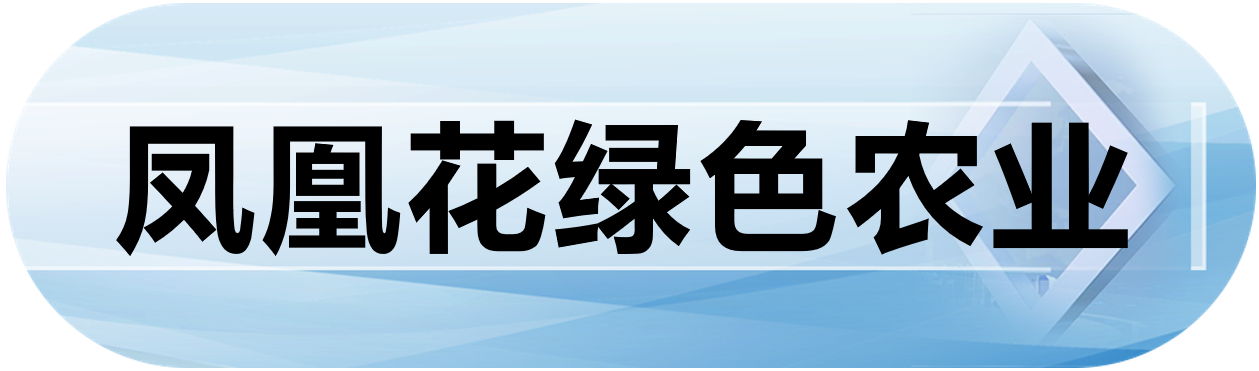 凤凰花绿色农业