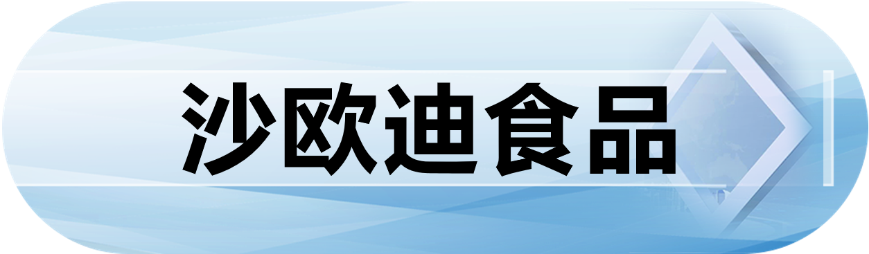 沙欧迪食品