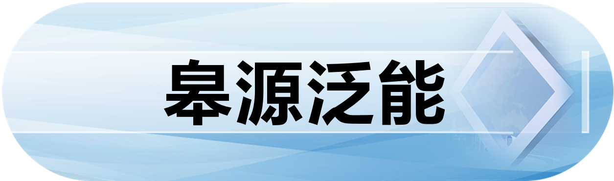皋源泛能