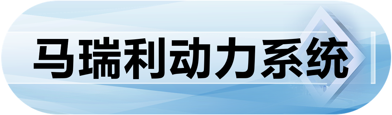 马瑞利动力系统