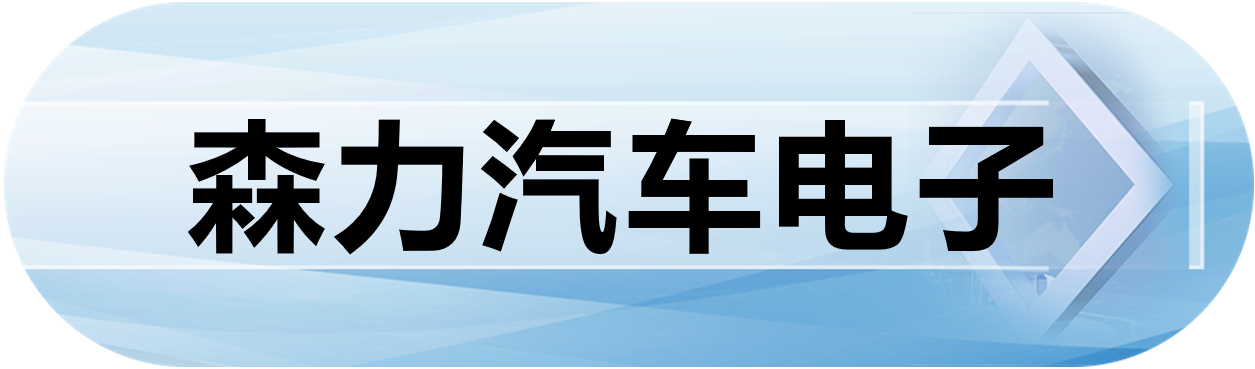 森力汽车电子