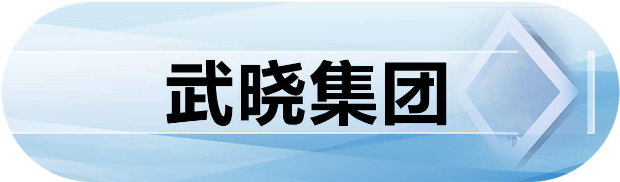 武晓集团